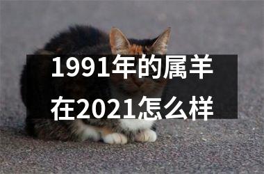 1991年的属羊在2021怎么样