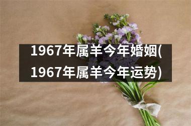 1967年属羊今年婚姻(1967年属羊今年运势)