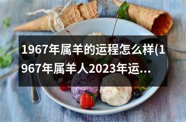 1967年属羊的运程怎么样(1967年属羊人2025年运势男性)