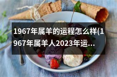 1967年属羊的运程怎么样(1967年属羊人2023年运势男性)