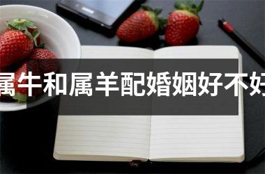 属牛和属羊配婚姻好不好