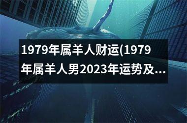 1979年属羊人财运(1979年属羊人男2025年运势及运程)