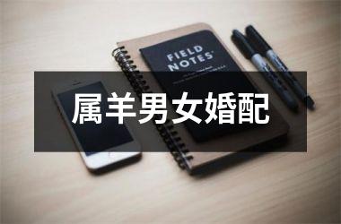属羊男女婚配