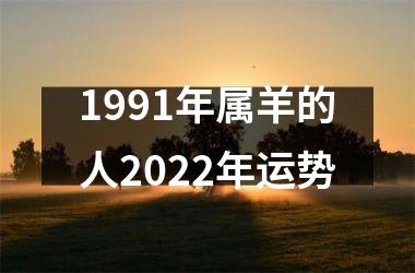 1991年属羊的人2022年运势