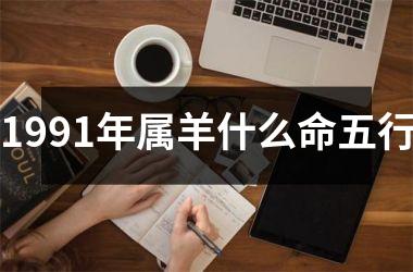1991年属羊什么命五行