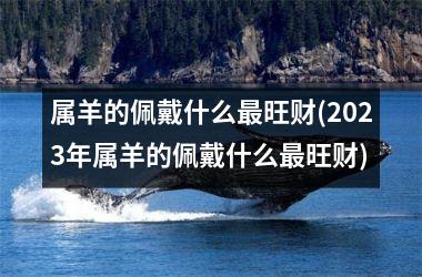 属羊的佩戴什么最旺财(2025年属羊的佩戴什么最旺财)