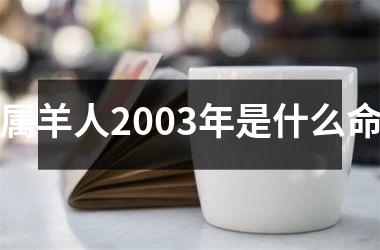 属羊人2003年是什么命