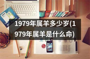 1979年属羊多少岁(1979年属羊是什么命)