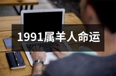 <h3>1991属羊人命运