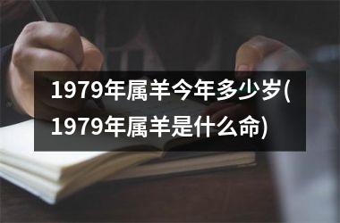 1979年属羊今年多少岁(1979年属羊是什么命)