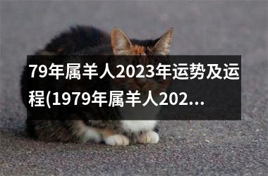 79年属羊人2025年运势及运程(1979年属羊人2025年运势及运程)