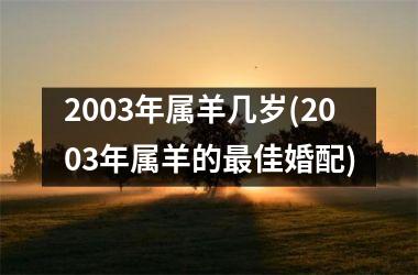 2003年属羊几岁(2003年属羊的最佳婚配)