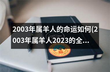 2003年属羊人的命运如何(2003年属羊人2023的全年运势如何)