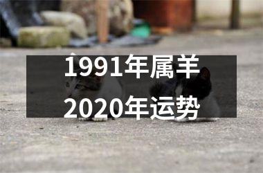 1991年属羊2020年运势