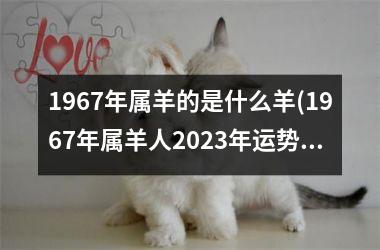 1967年属羊的是什么羊(1967年属羊人2023年运势男性)