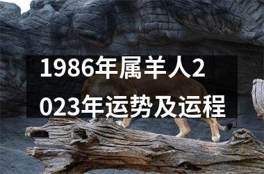 1986年属羊人2023年运势及运程