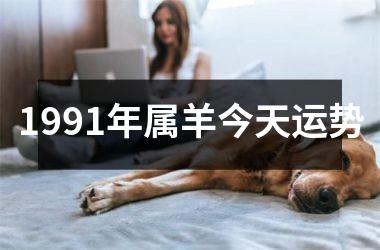 <h3>1991年属羊今天运势