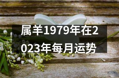 属羊1979年在2025年每月运势