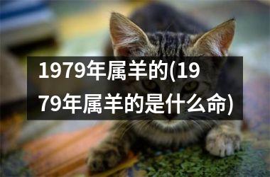 1979年属羊的(1979年属羊的是什么命)