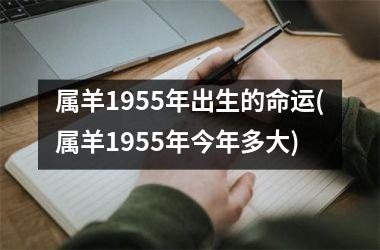 属羊1955年出生的命运(属羊1955年今年多大)