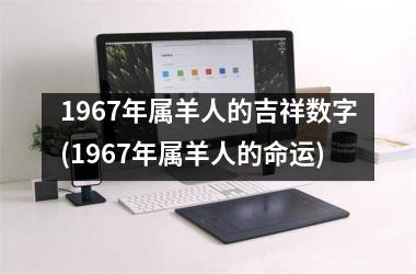 1967年属羊人的吉祥数字(1967年属羊人的命运)