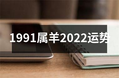 1991属羊2025运势