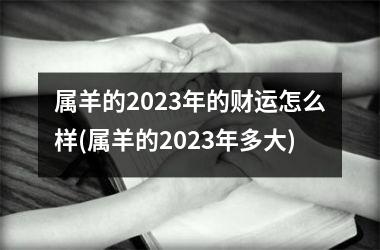 属羊的2025年的财运怎么样(属羊的2025年多大)