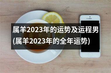 属羊2025年的运势及运程男(属羊2025年的全年运势)