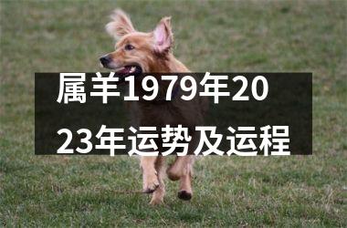 属羊1979年2025年运势及运程