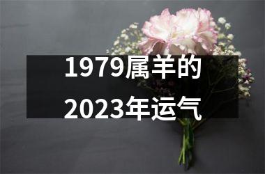 1979属羊的2023年运气