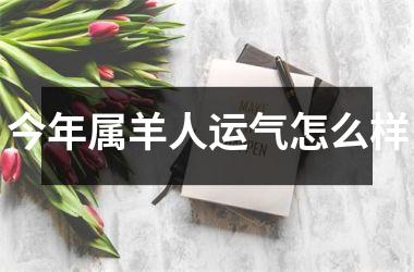 今年属羊人运气怎么样
