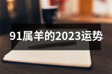 91属羊的2023运势