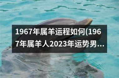 1967年属羊运程如何(1967年属羊人2023年运势男性)