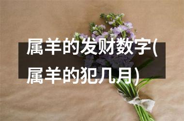 属羊的发财数字(属羊的犯几月)