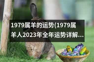 1979属羊的运势(1979属羊人2023年全年运势详解)