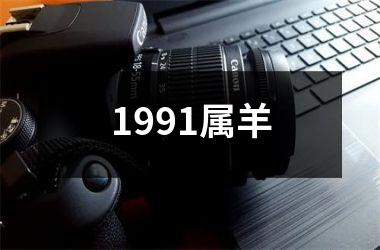 1991属羊