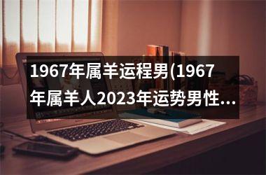 1967年属羊运程男(1967年属羊人2023年运势男性)