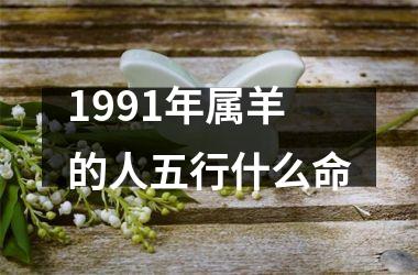 1991年属羊的人五行什么命