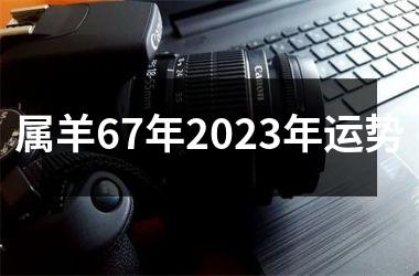 属羊67年2025年运势