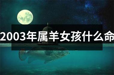 <h3>2003年属羊女孩什么命
