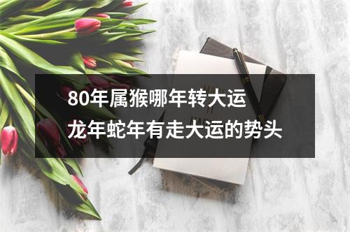 80年属猴哪年转大运龙年蛇年有走大运的势头
