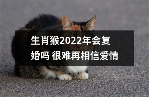生肖猴2025年会复婚吗很难再相信爱情