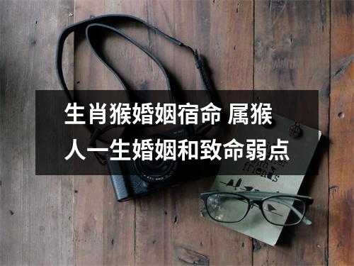 生肖猴婚姻宿命属猴人一生婚姻和致命弱点