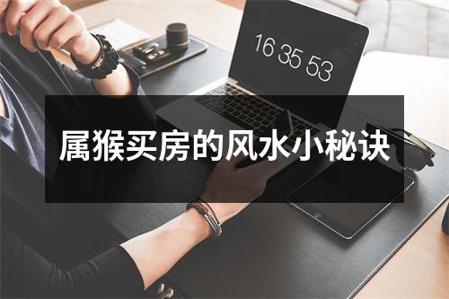 属猴买房的风水小秘诀