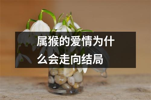 属猴的爱情为什么会走向结局