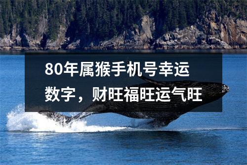 80年属猴手机号幸运数字，财旺福旺运气旺