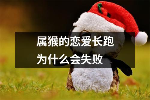 <h3>属猴的恋爱长跑为什么会失败