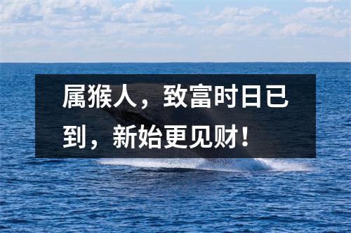 属猴人，致富时日已到，新始更见财！
