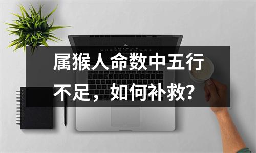 属猴人命数中五行不足，如何补救？