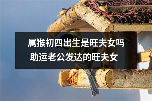 属猴初四出生是旺夫女吗助运老公发达的旺夫女